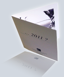 nieuwjaarskaart 2011